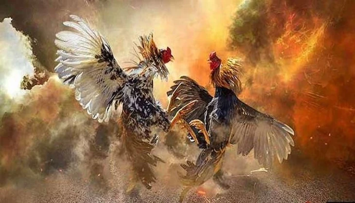 Những Điểm Nổi Bật Của Game Đá Gà Tại BetVIP
