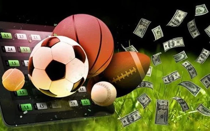 Giới Thiệu Chung Về Nhà Cái Thể Thao BetVIP